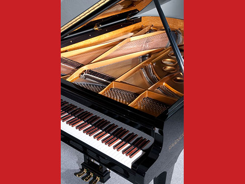 莱温斯克-Model220-钢琴