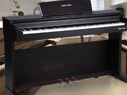 KC8经济型入门电钢琴